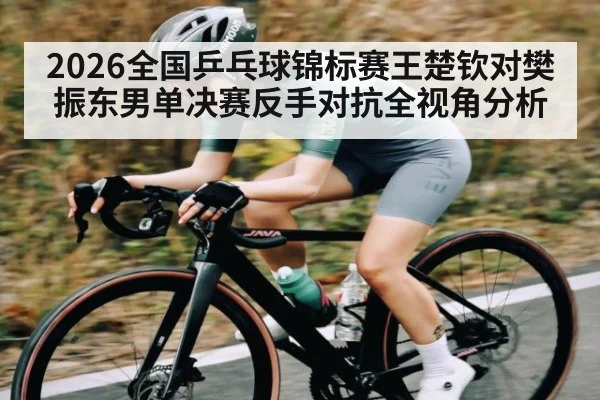 2026全国乒乓球锦标赛王楚钦对樊振东男单决赛反手对抗全视角分析